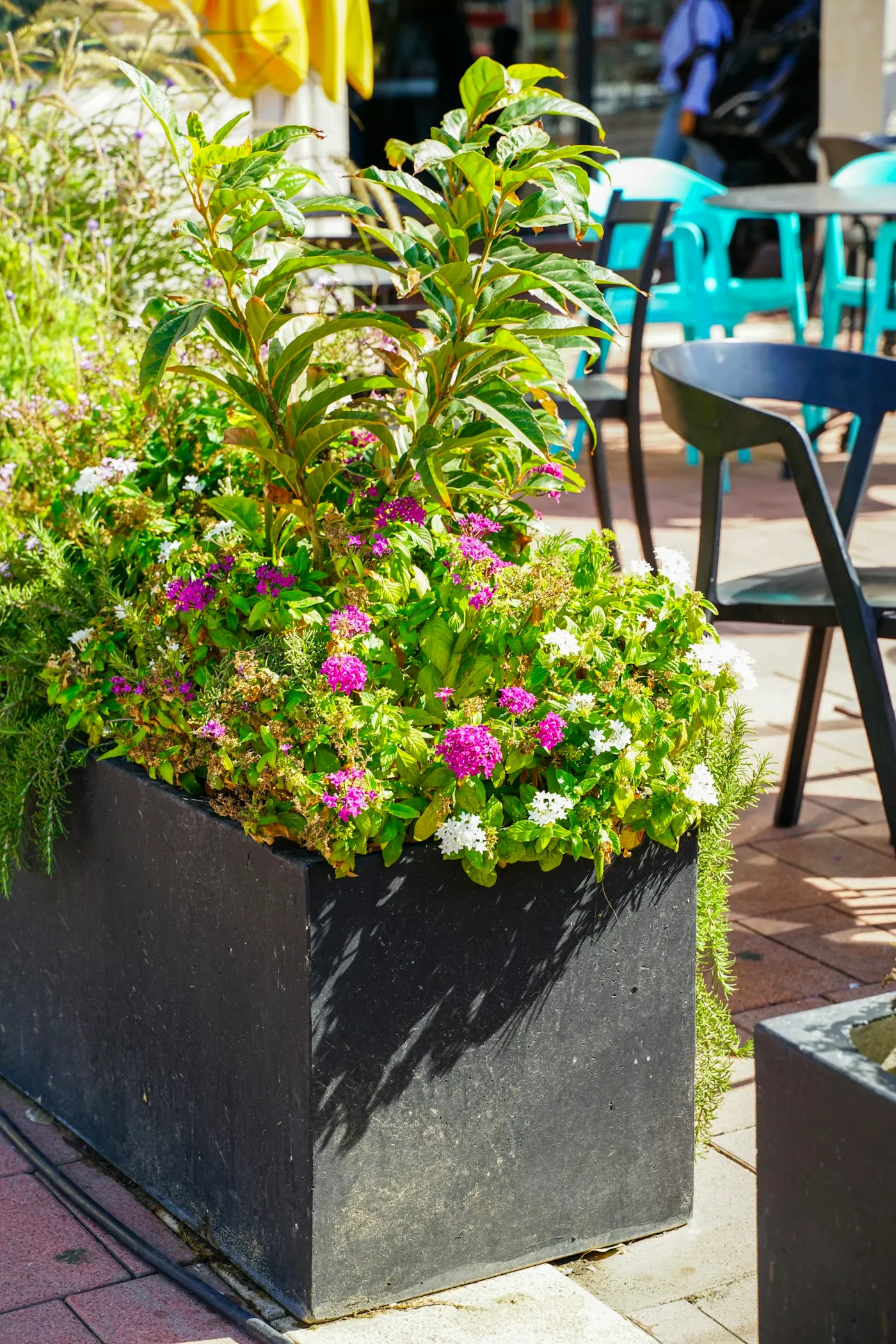 Planter inspiration
